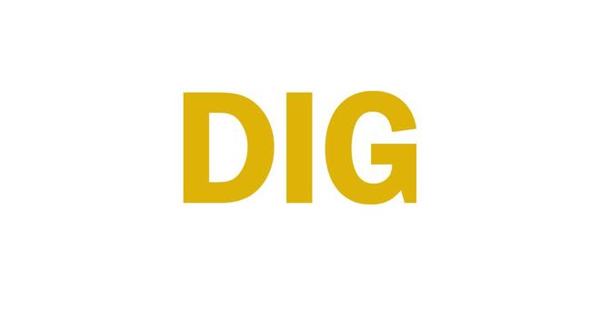 DIG.logotype-min.jpg