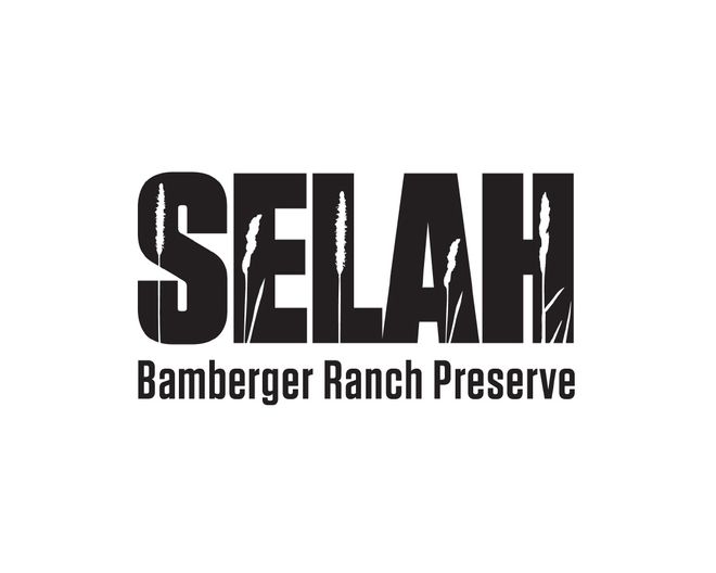 Selah.logo.black.jpg