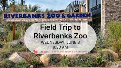 63 Riverbanks Zoo Field Trip.jpg