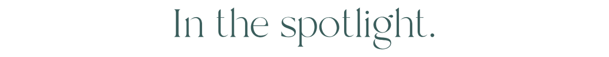 In the Spotlight.png
