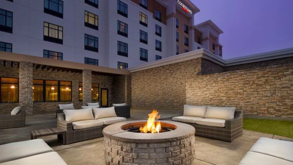 courtyard grapevine.jpg