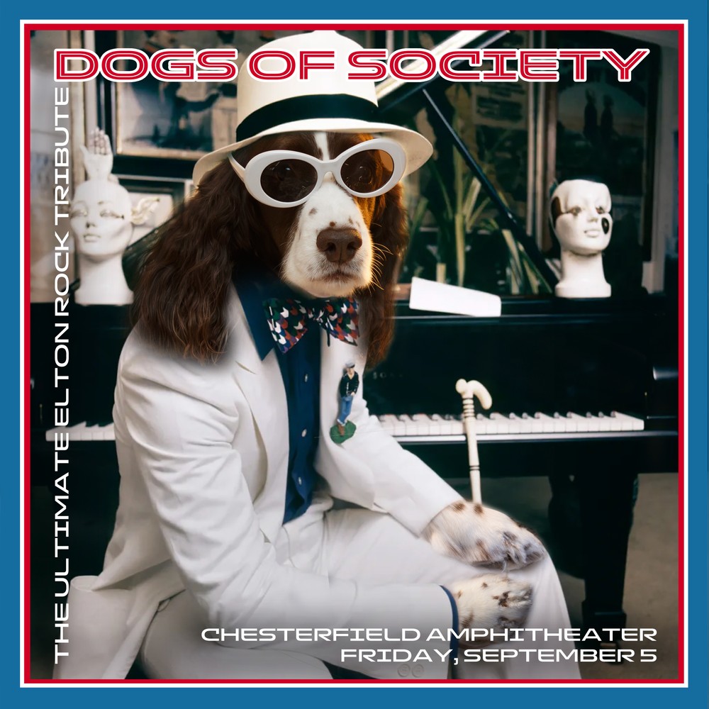 2025.09.05.dogs chesterfield amp.IG.jpg