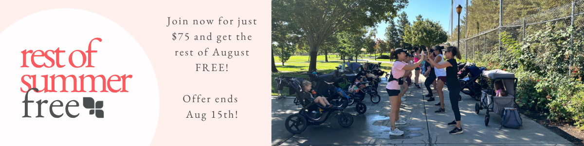 Copy of FRAN - FREE - Summer2025 - Website Banner.png