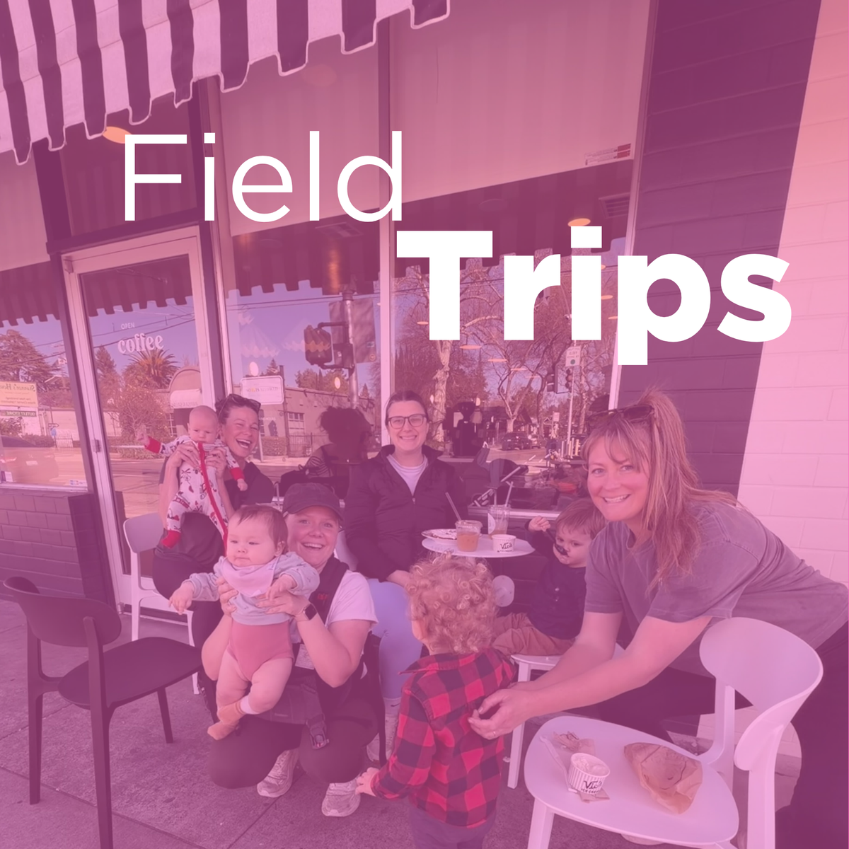 field trip.png