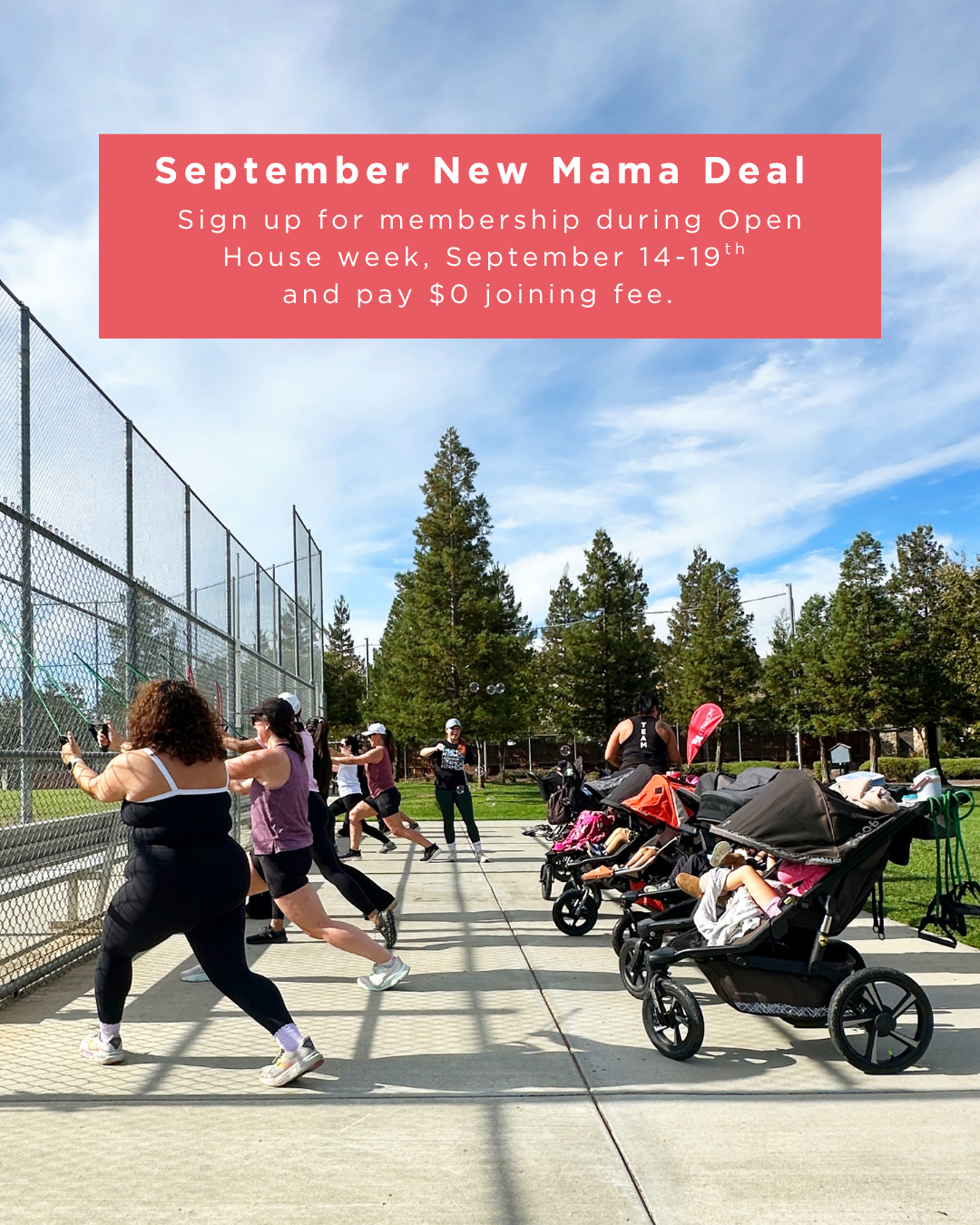openhouse deal.png