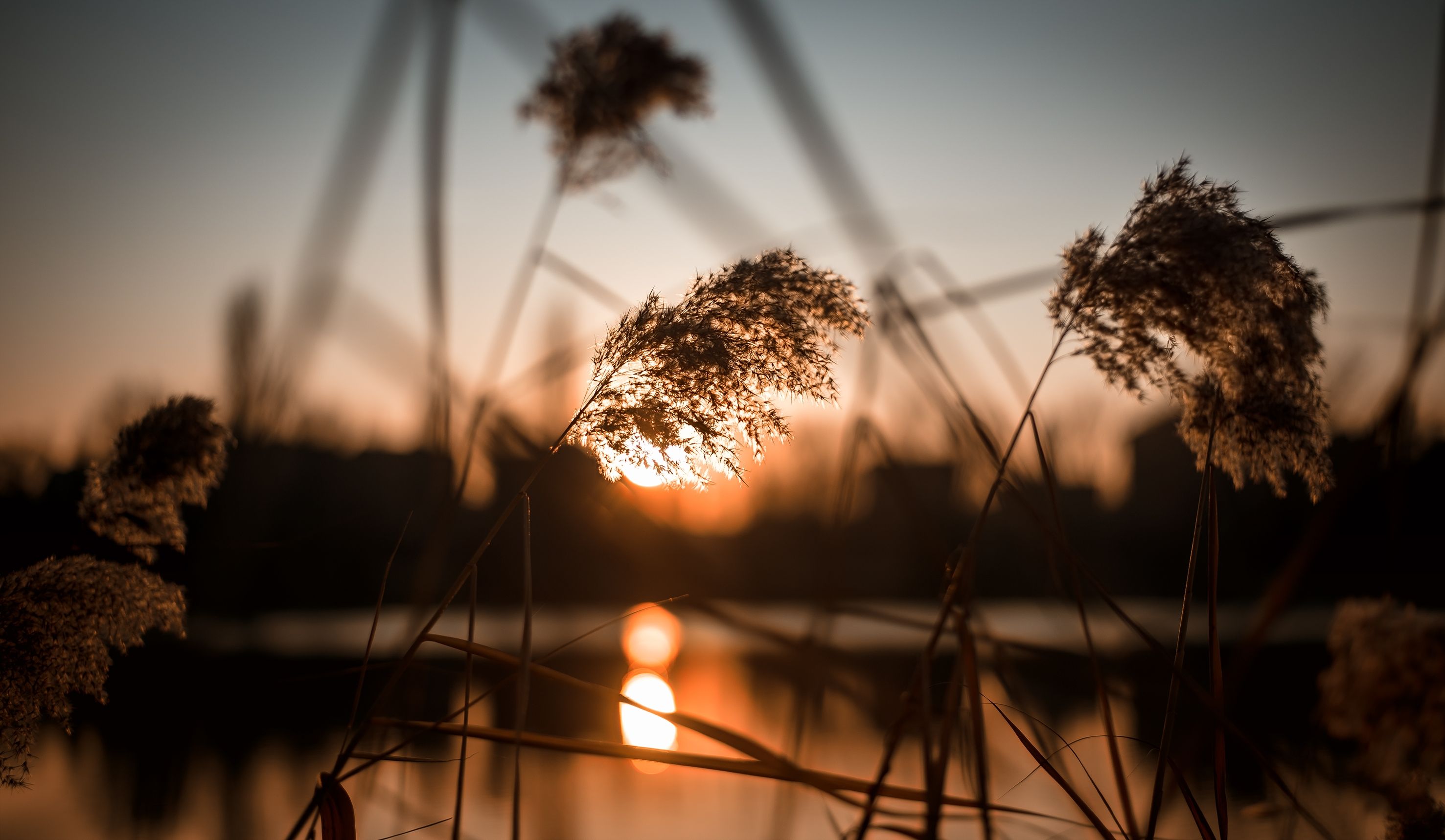 golden-hour-of-sunset-on-the-lake-Z2D6MQ2.jpg