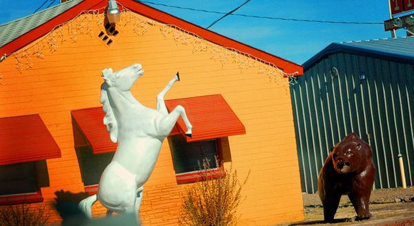 White Horse Brown Bear Orange House