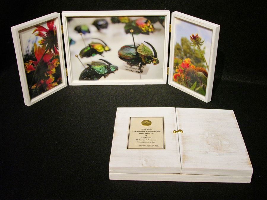 Biota Box 90: Rainbow Scarabs and Blanket Flower