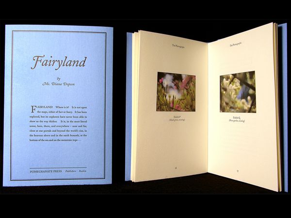 Fairyland book