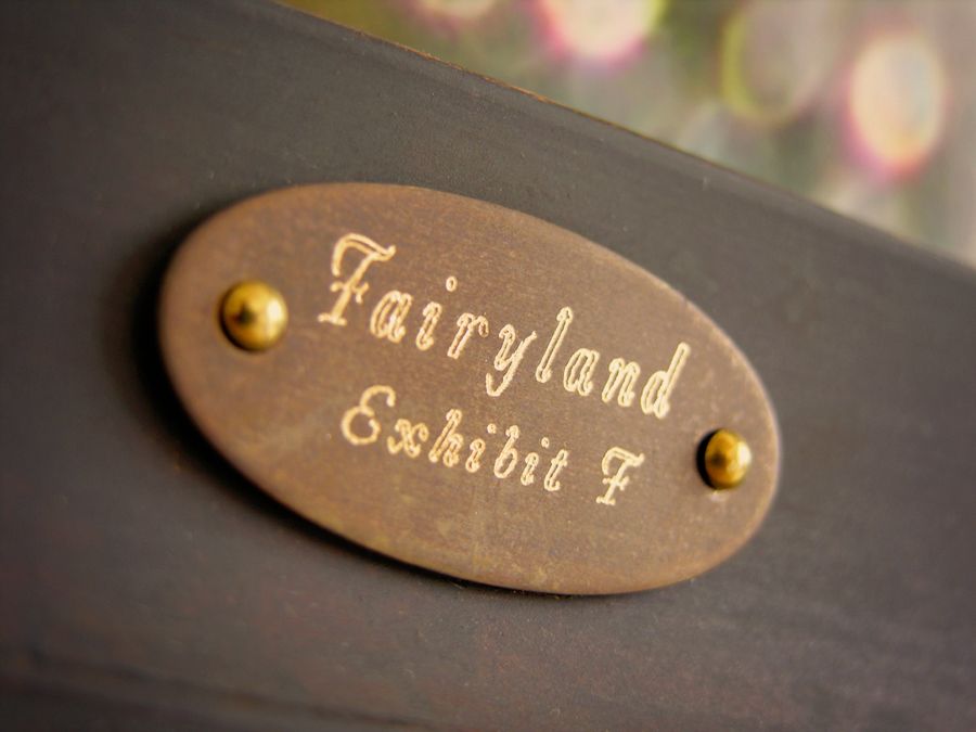 Fairyland, Exhibit F detail