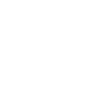 National Forest Service