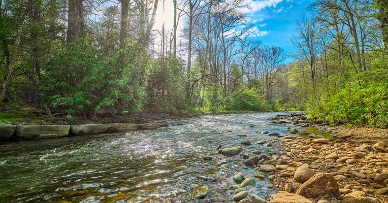 Blue Ridge wilderness.jpg
