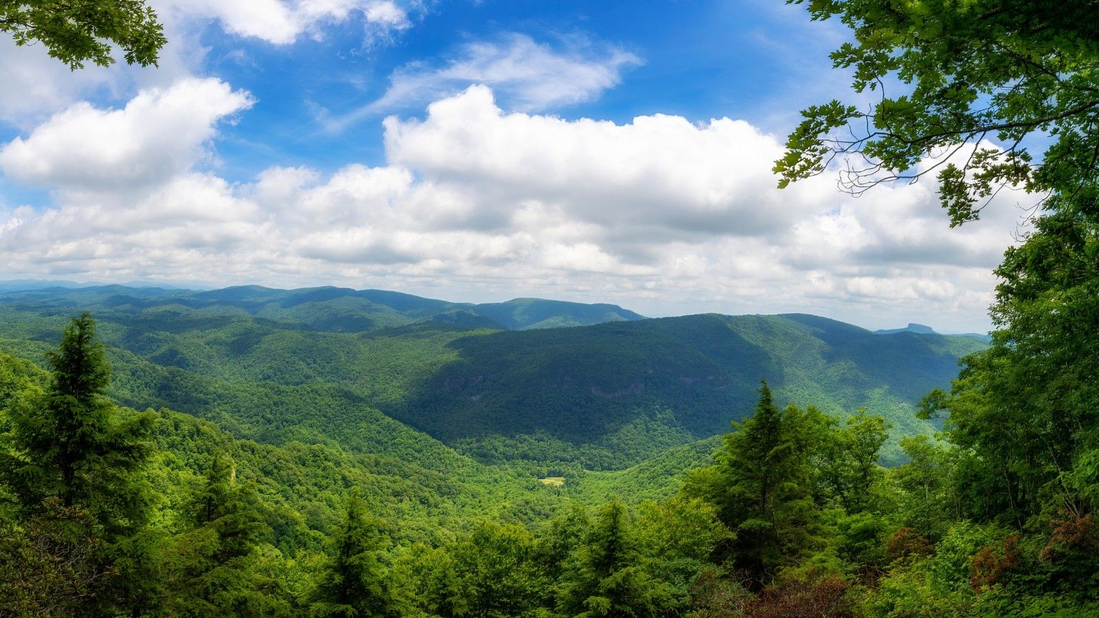 Blue Ridge Therapeutic Wilderness - Blue Ridge Therapeutic Wilderness