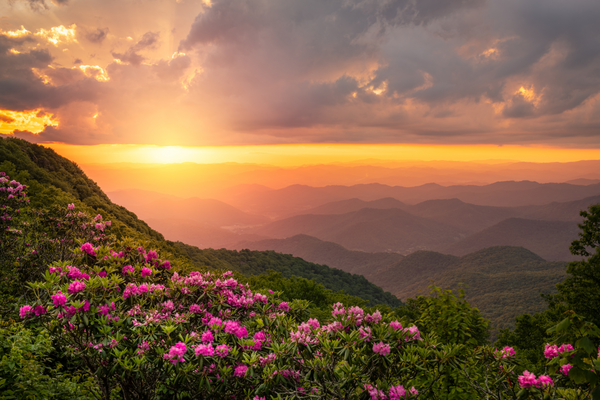 Create lasting, meaningful change together. Blue Ridge Mountains Wilderness Therapy
