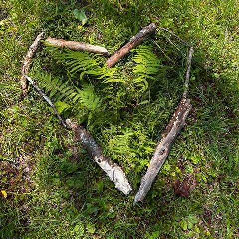 Leave No Trace