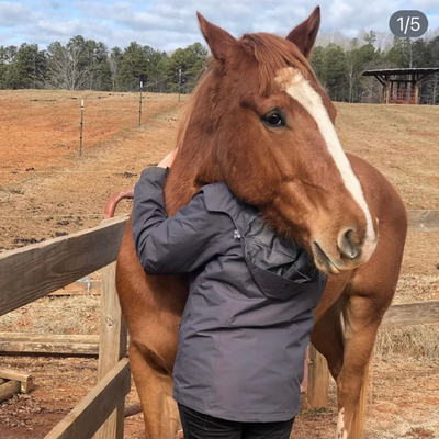 Therapeutic wilderness camp helping kids overcome behavioral and emotional challenges equine therapy blue ridge