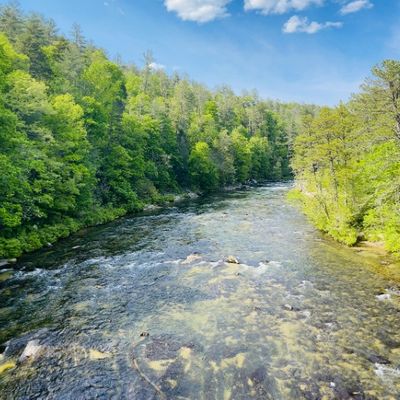 Blue Ridge Therapeutic Wilderness Chattahoochee National Forest