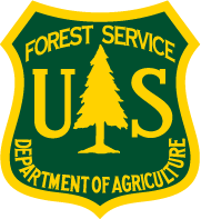forest.png