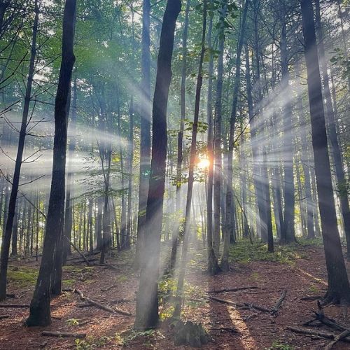 Wilderness camps for troubled teens georgia and north carolina