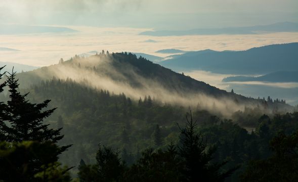 DSC_6149.jpg