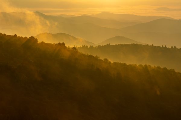 DSC_6077.jpg