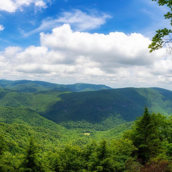 wilderness therapy north carolina