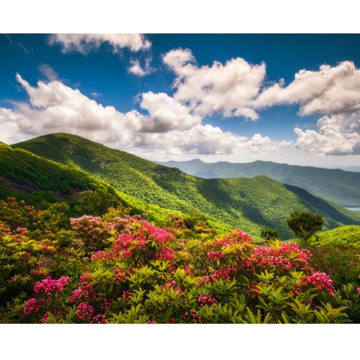 Blue Ridge Parkway North Carolina Trail