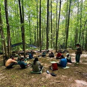 wildernessgroup