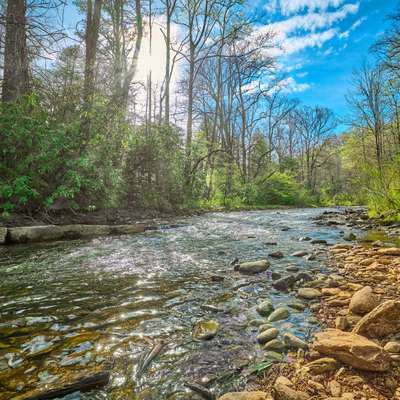 Blue Ridge wilderness (1).jpg