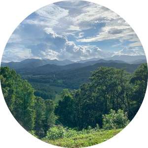 early-clinical-psychiatric-assessments-blue-ridge