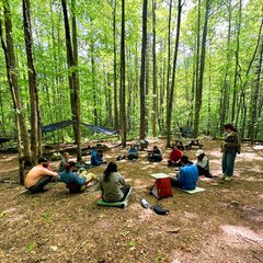 Blue Ridge Wilderness Blog (600 x 600 px) (3).png