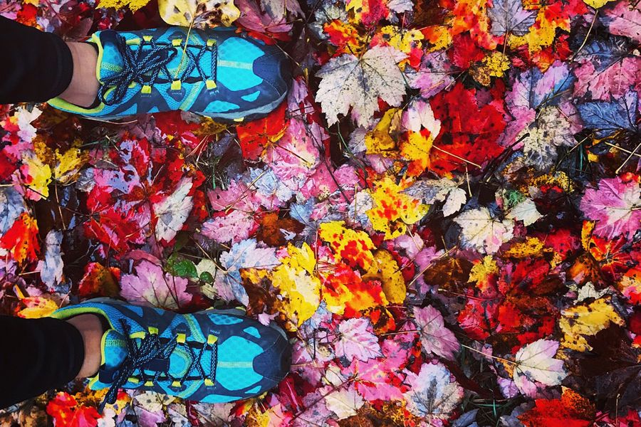 Image of a hikers boots against colorful leaves
