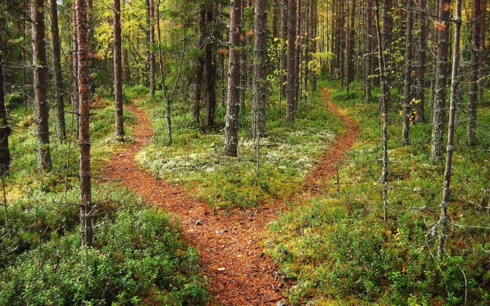 The big picture of wilderness therapy: Choosing Blue Ridge for your child