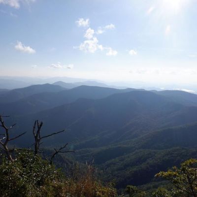 wilderness therapy at blue ridge therapeutic wilderness