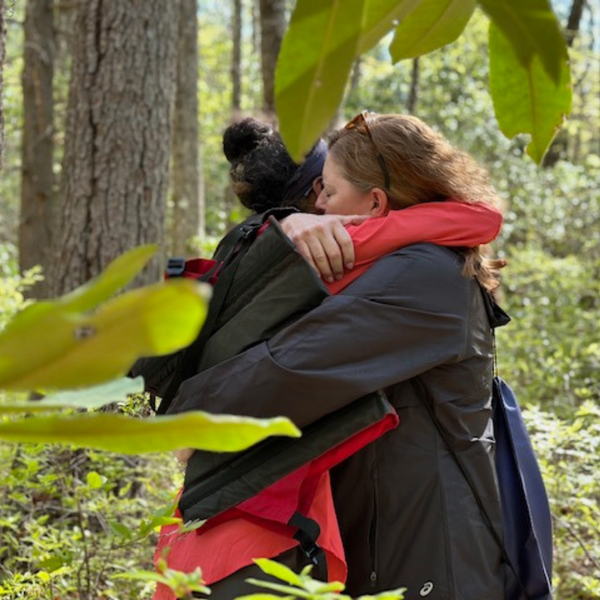 family therapy blue ridge wilderness