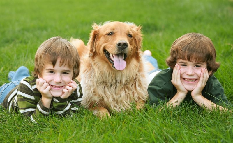  Healthy Puppies, Happy Families 