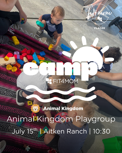 July 15th - Animal Kingdom - Web.png