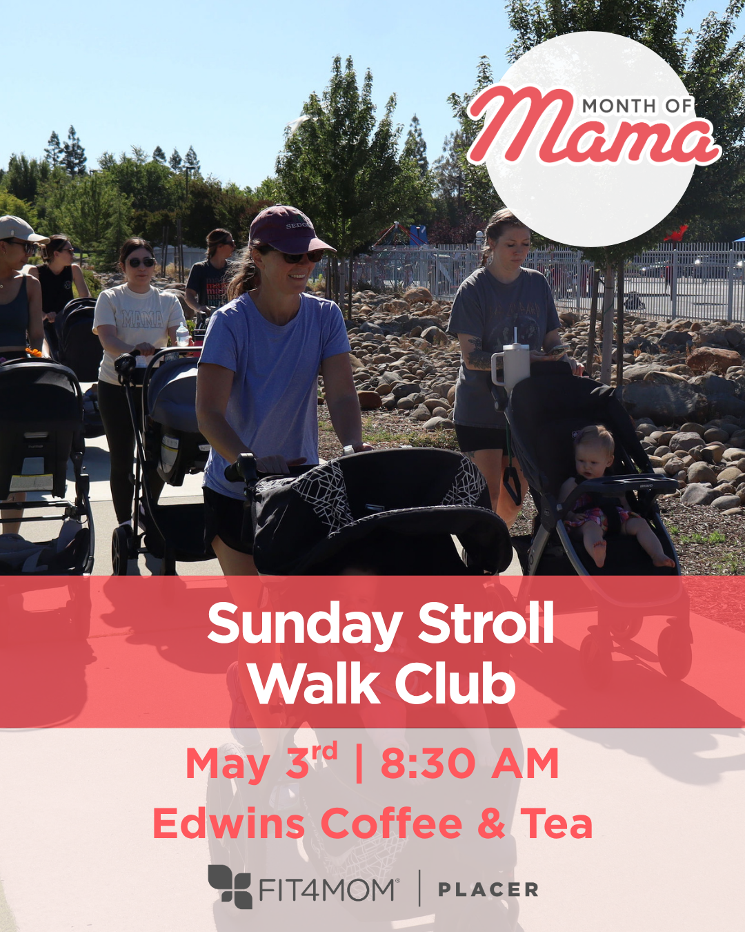 Sunday Stroll May 3.png