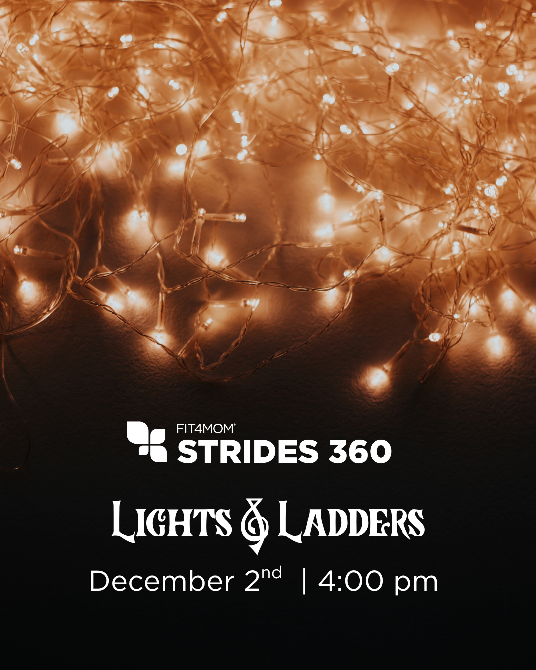 Lights and Ladders - Web.png