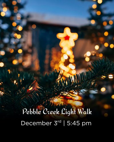 Village Light Walk - Web.png