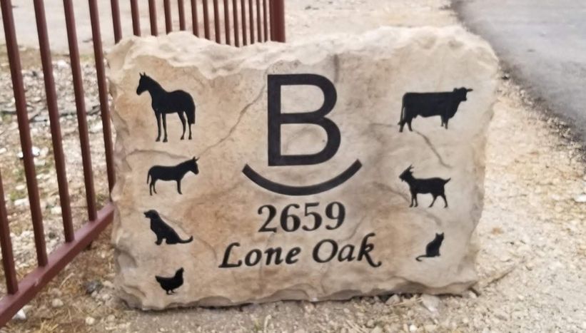 20201026_120040 - Copy.jpg