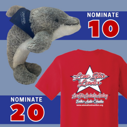 Dolphin and Lone Star Leader Shirt Art for website.png