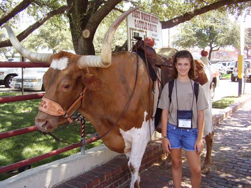 Fort Worth Stockyards Field Trip