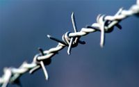 Barbed Wire.jpg
