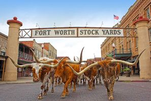 Fort-Worth-Stockyards20-76af21145056a34_76af2390-5056-a348-3ad86a9de25f520e.jpg