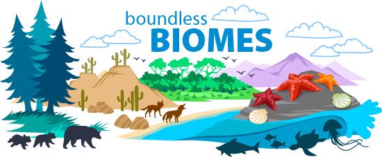 biomes-world.jpg