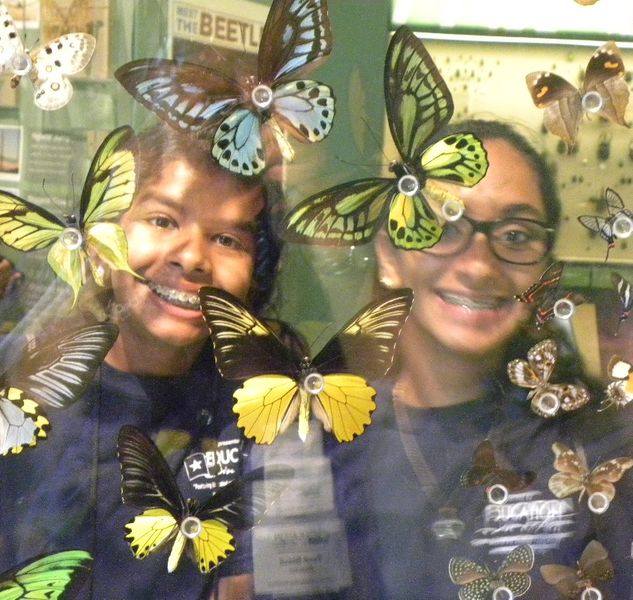 Cockrell Butterfly Center