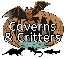 Caverns and Critters logo.png