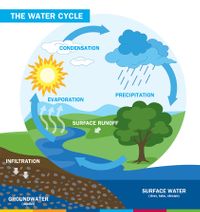 AM-Water-Cycle.jpg