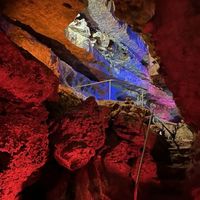 Wonder World (3).jpg